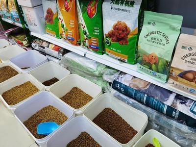 寵物流行外賣服務(wù)，鄭州一月破千不是夢！