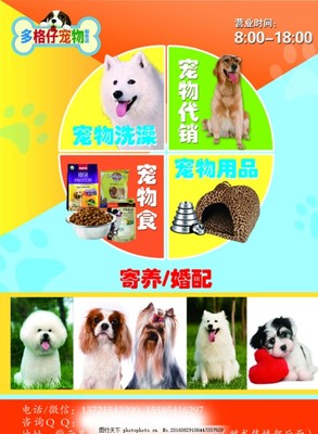 寵物服務(wù)傳單與海報(bào)設(shè)計(jì)模板推薦