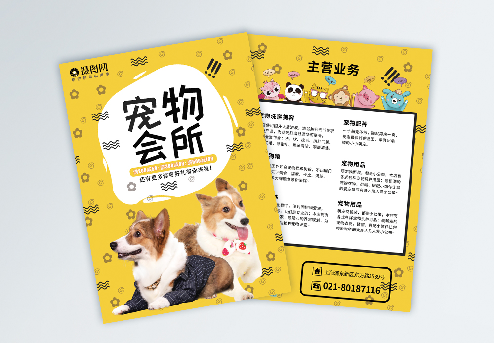 寵物箱海報(bào)設(shè)計(jì) 連接溫暖與專(zhuān)業(yè)的寵物服務(wù)窗口